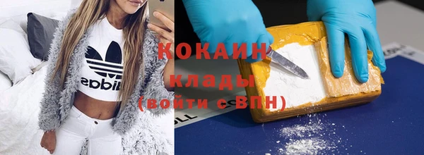индика Кодинск