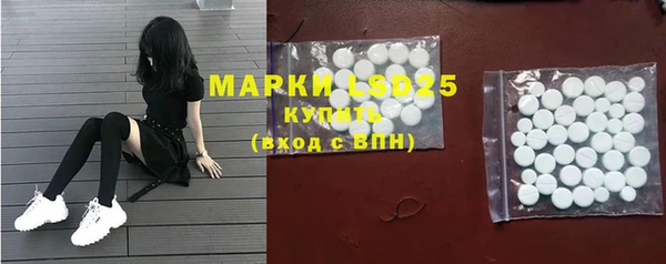 индика Кодинск