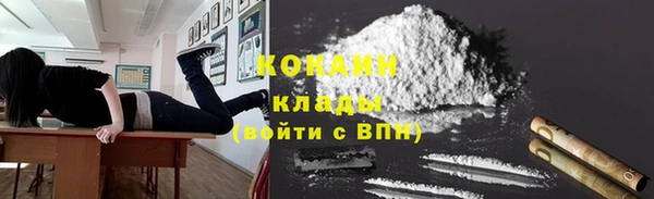 крисы Козельск