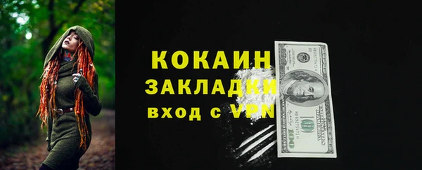 крисы Козельск