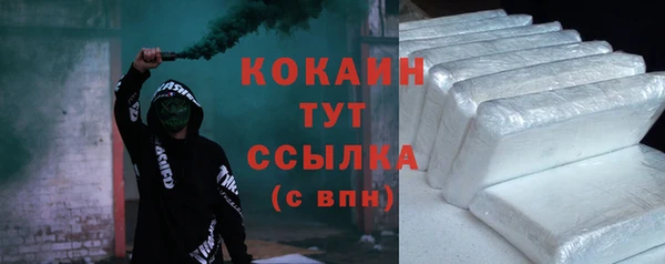 индика Кодинск