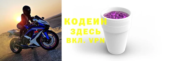 крисы Козельск