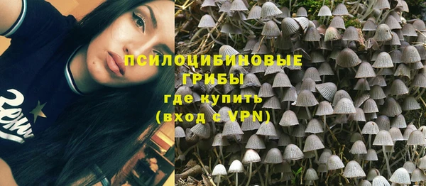 кокс Ростов