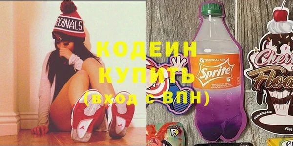крисы Козельск