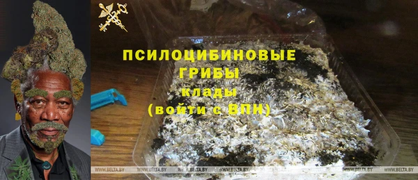 крисы Козельск