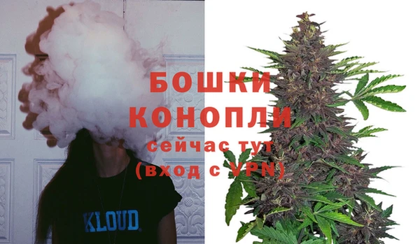 крисы Козельск