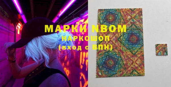 индика Кодинск