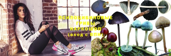 бутират Козловка