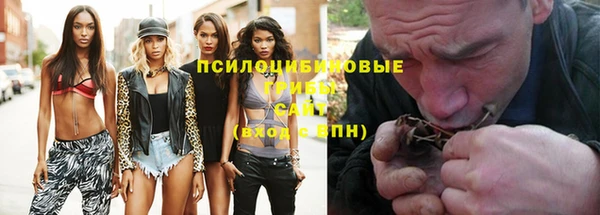 индика Кодинск