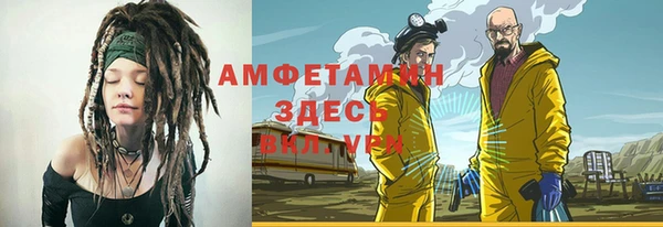 крисы Козельск