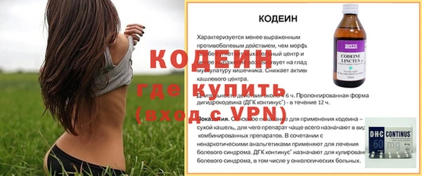 крисы Козельск